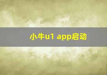 小牛u1 app启动